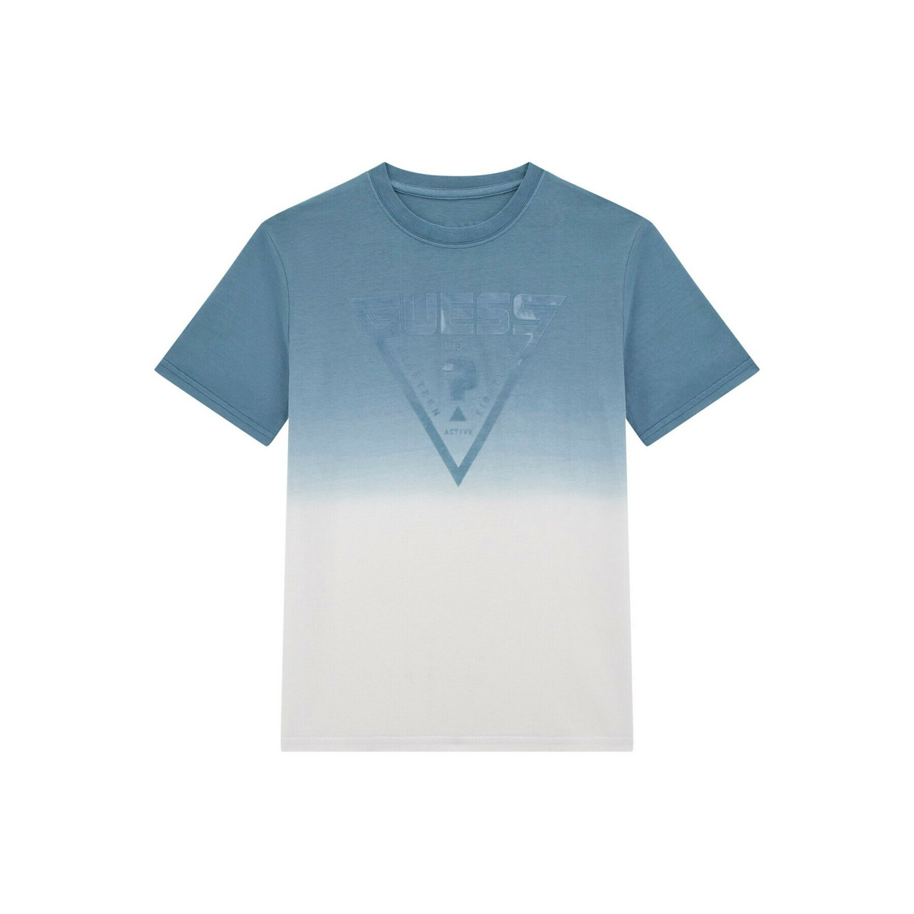 Футболка GUESS SS T-shirt_mini Me, размер 14 лет, синий