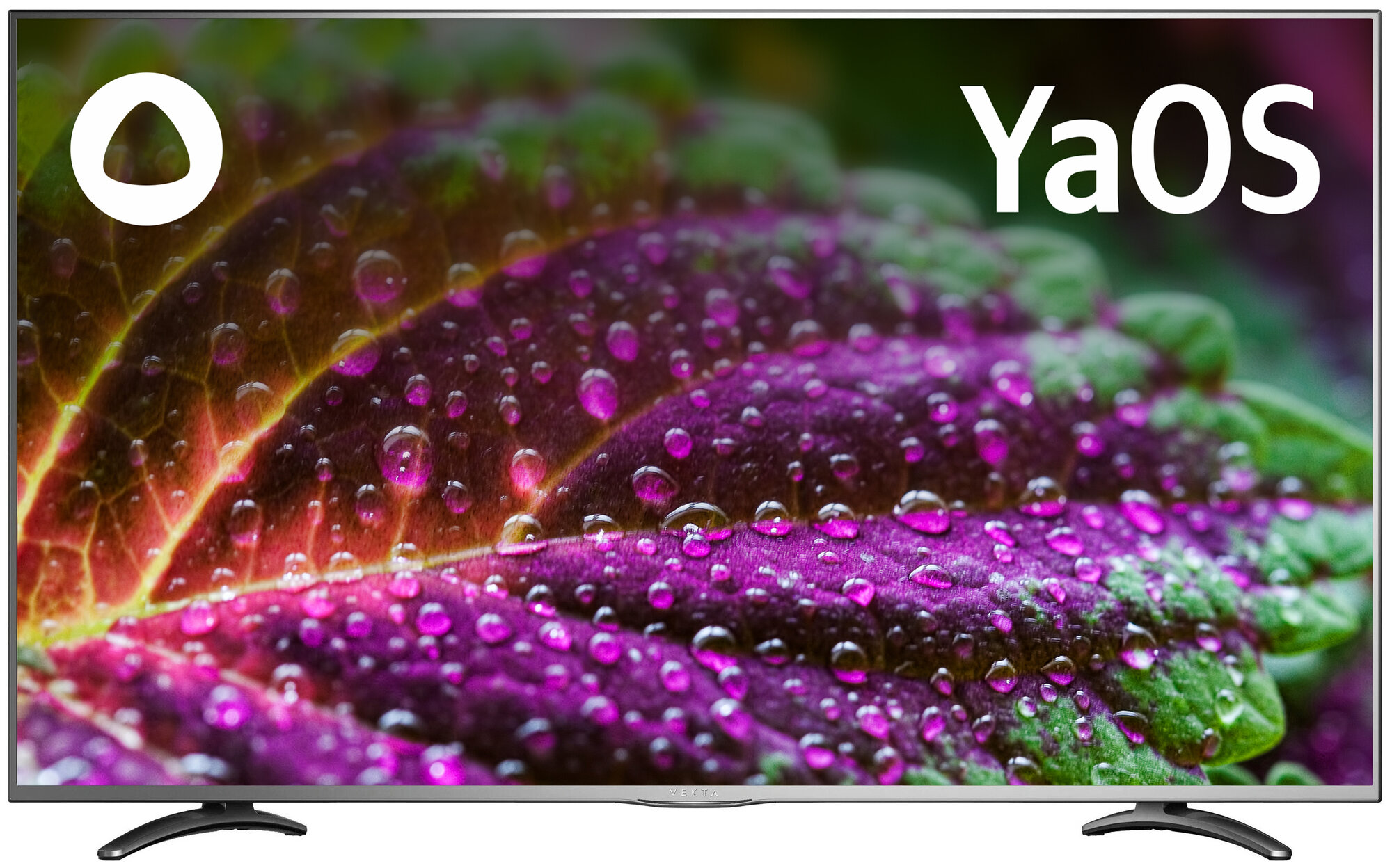 Телевизор LED55" VEKTA LD-55SU8921BS