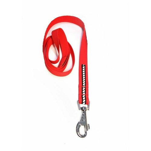 RichPet Поводок Барон, капрон, 25 мм, 200 см