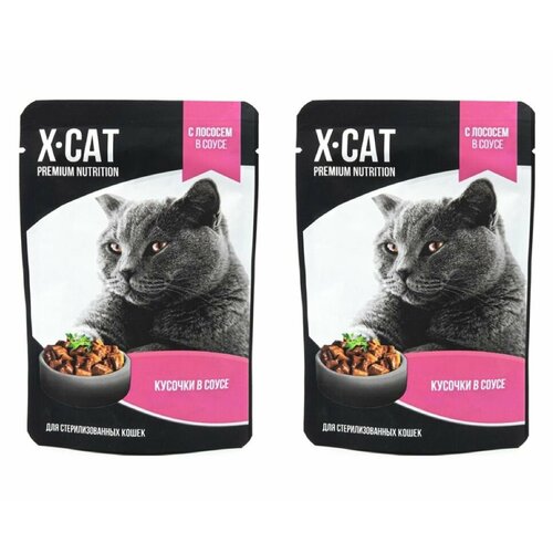 Gina Пауч для стерилизованных кошек Лосось в соусе, 85 г, 2 шт