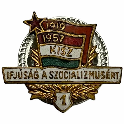 Знак Венгерский коммунистический союз молодежи. Молодежь за социализм 1 ст. Венгрия 1961-1980 гг.
