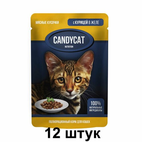 CandyCat Пауч для кошек, кусочки с Курицей в желе, 85 г, 12 шт