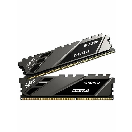 Модуль памяти NETAC NTSWD4P26SP-16K 399000₽