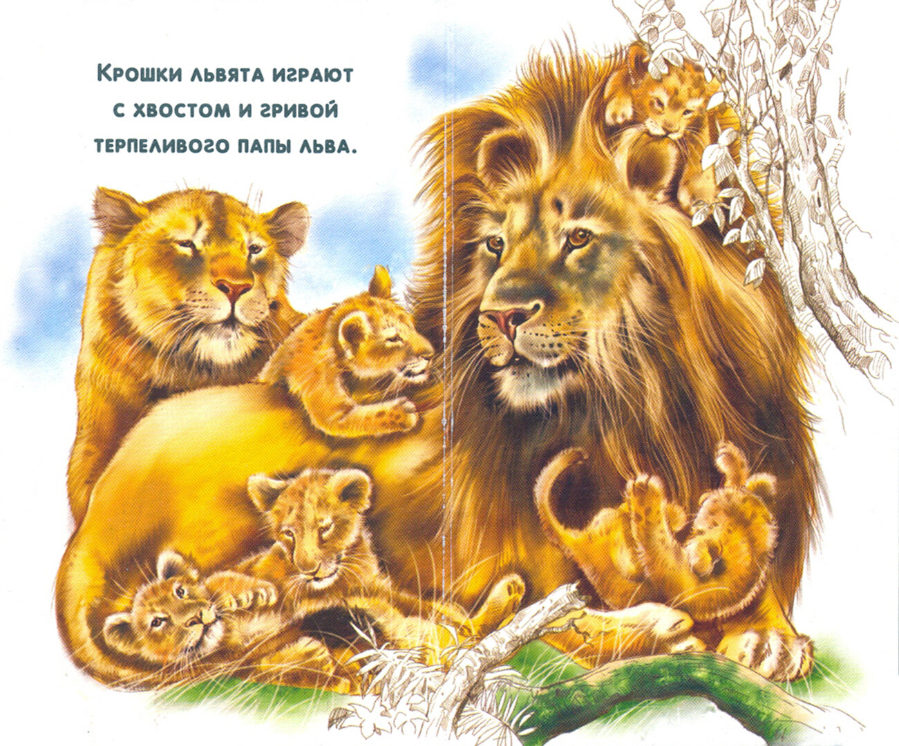 Мама и малыши. Дикие животные (Репринцев П.М. (худ.)) - фото №2