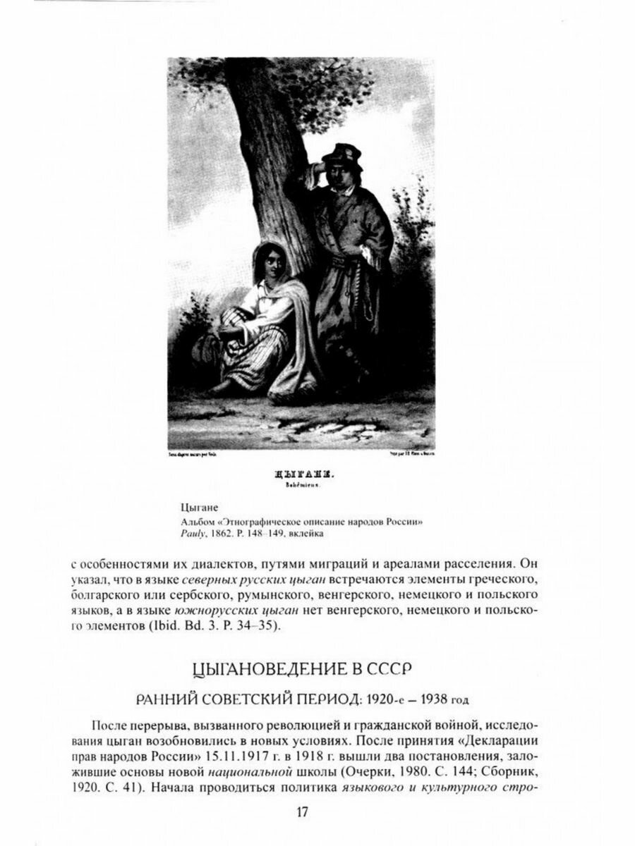 Цыгане (Смирнова-Сеславинская М. В., Цветков Г. Н., Махотина И. Ю.) - фото №18