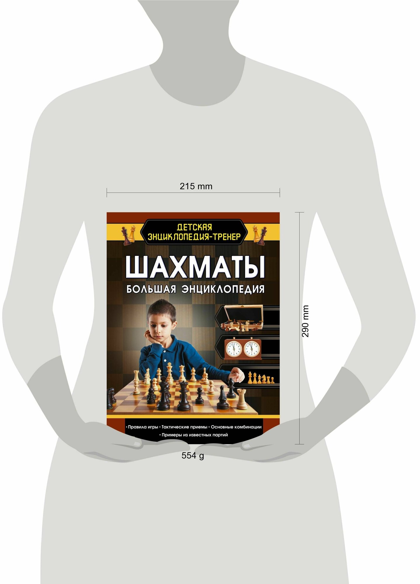 Шахматы. Большая энциклопедия (Смирнов Дмитрий Сергеевич) - фото №12