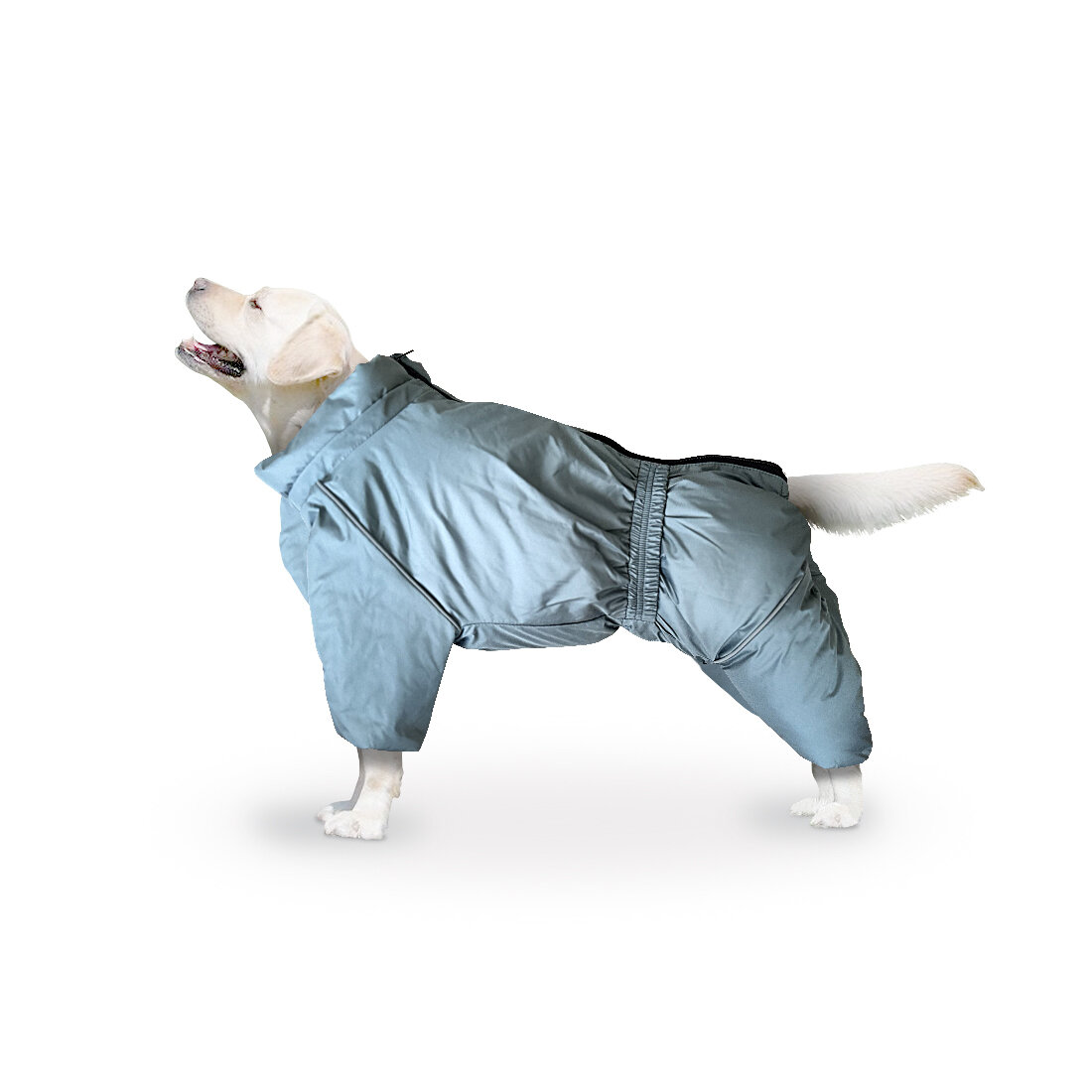 Комбинезон "Актив" одежда для собак. Zootrend дождевик на молнии серый размер 4xl унисекс