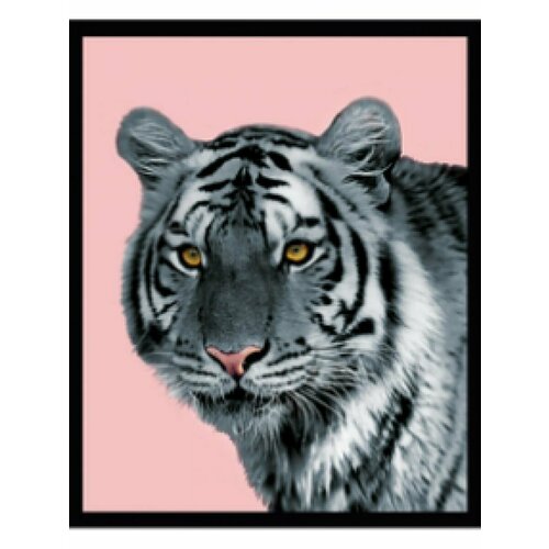 Постер в раме G&C art studio 2613A 200х250