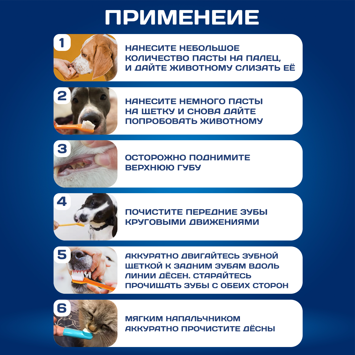 Зубная паста для собак "Dentalpik Pets" со вкусом говядиной, 3 щетки - фотография № 5