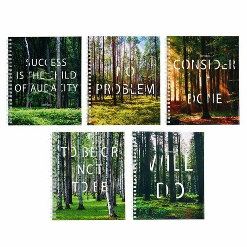 Тетрадь 60 листов в линейку Done обложка мелованный картон глянцевая ламинация блок 60гм2 микс 5 видов 425₽