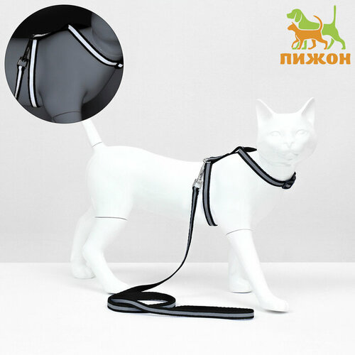 Комплект для кошек светоотражающий, ширина 1 см, шлейка 21-35 см, поводок 120 см, чёрный (комплект из 8 шт)