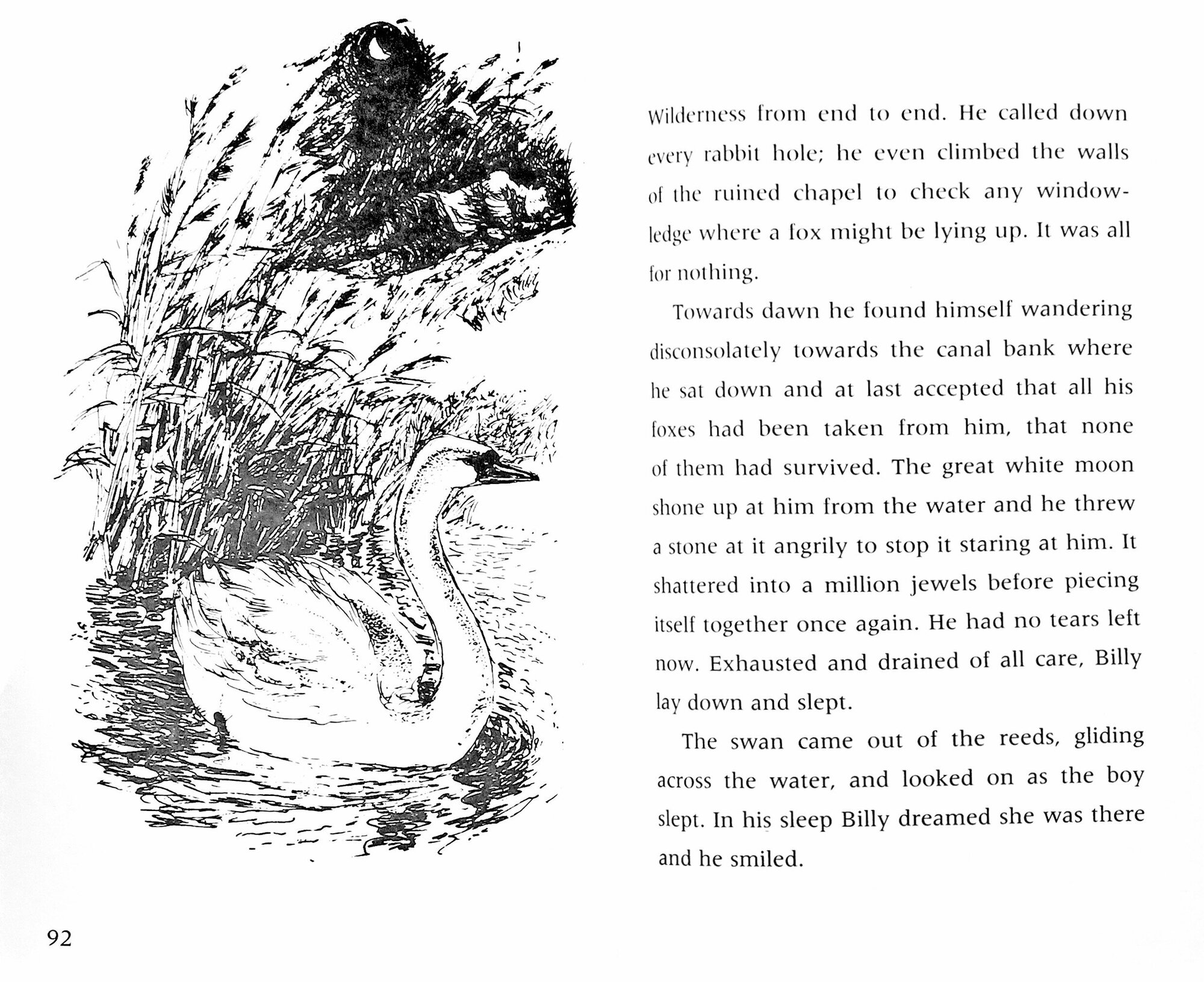 Little Foxes (Morpurgo Michael) - фото №3