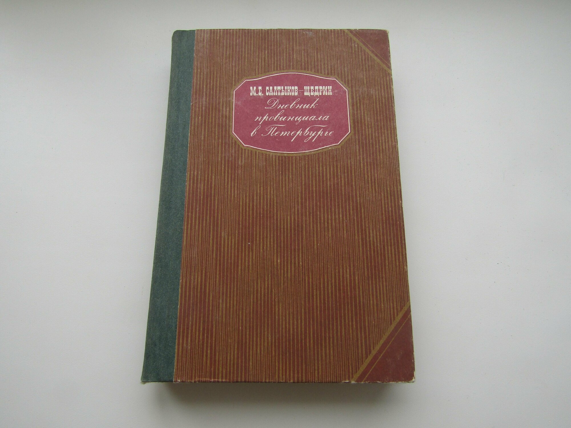 Дневник провинциала в Петербурге. Михаил Салтыков-Щедрин