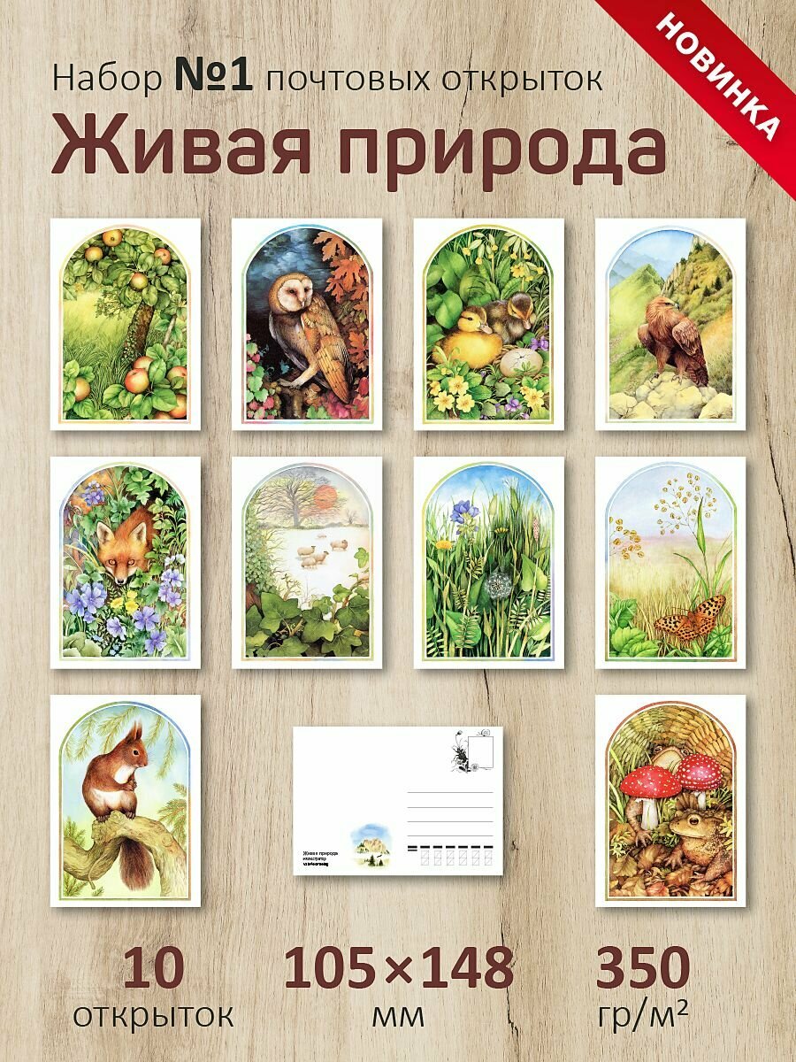 Набор почтовых открыток "Живая природа №1"