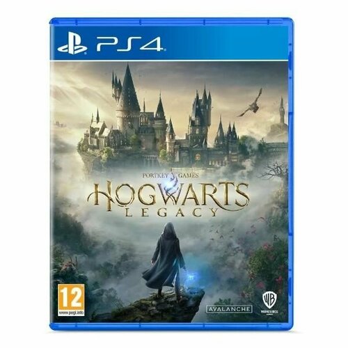 Игра PS4 Hogwarts Legacy