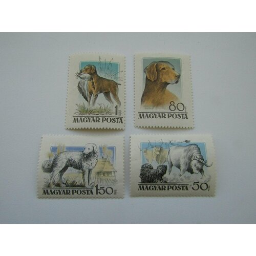 Марки. Флора и фауна. Венгрия. Собаки. 4 штуки. марки флора и фауна 1986 4 штуки