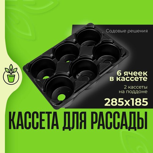 Кассеты для рассады, ящики для рассады, с поддоном № 2, кассета 6 ячеек круглая 285*185 220 мл - 2 шт, поддон глубокий малый 400*300 , 