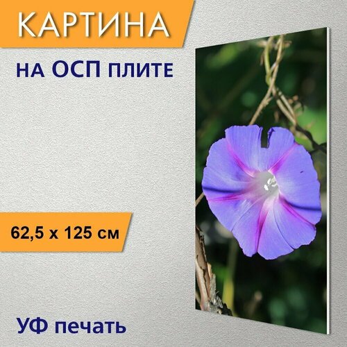 Вертикальная картина на ОСП "Фиолетовый цветок ипомеи, цветок, труба" 62x125 см. для интерьериа