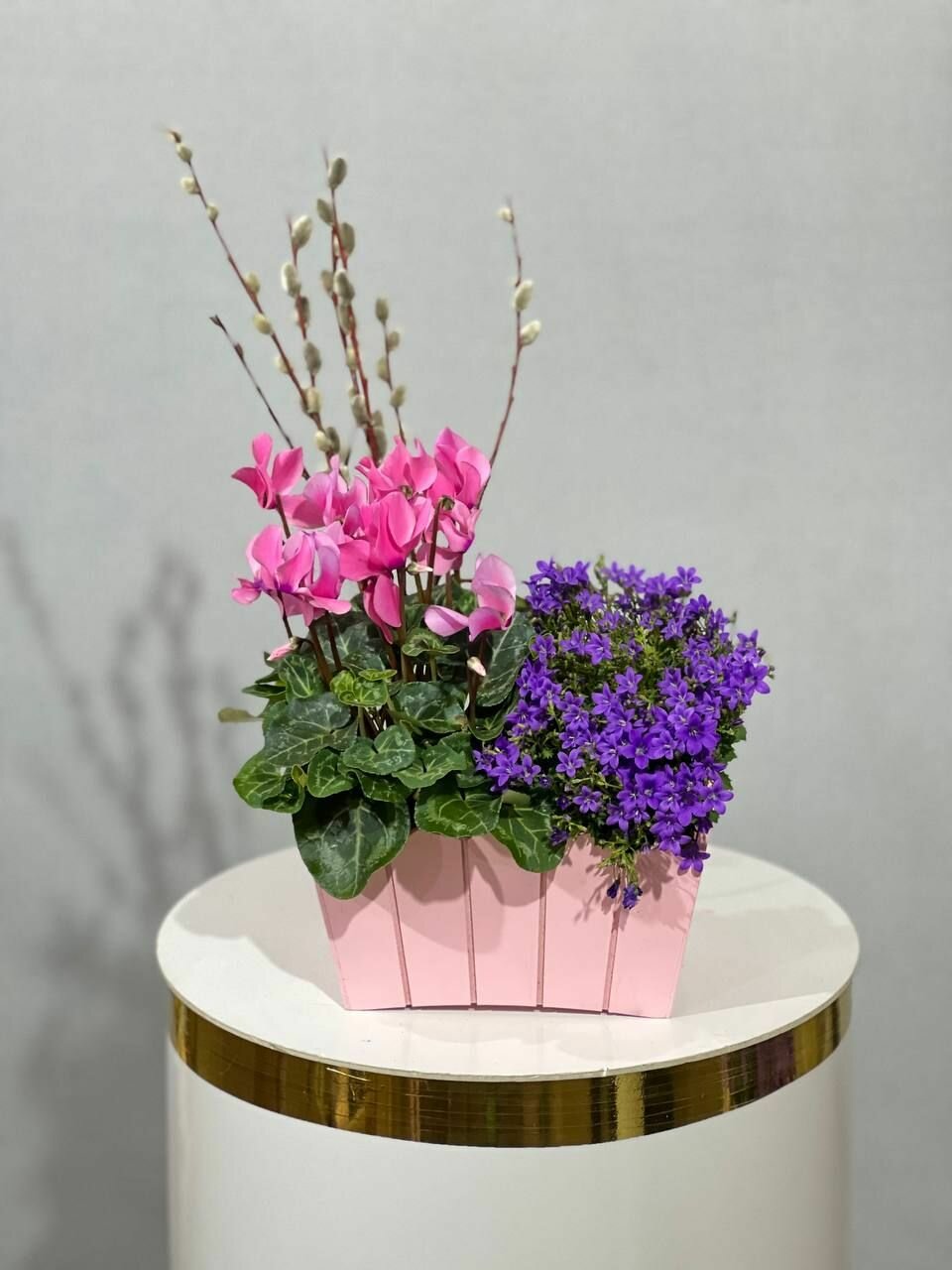 Весенние первоцветы в кашпо с живой вербой / Подарок