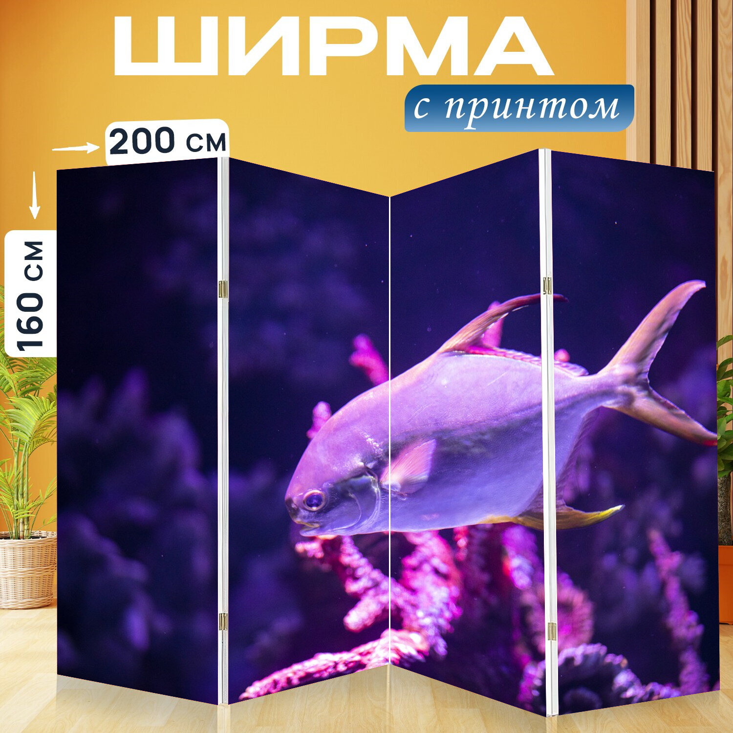 Ширма перегородка с принтом "Рыба, рыбы, море" на холсте - 200x160 см. для зонирования, раскладная