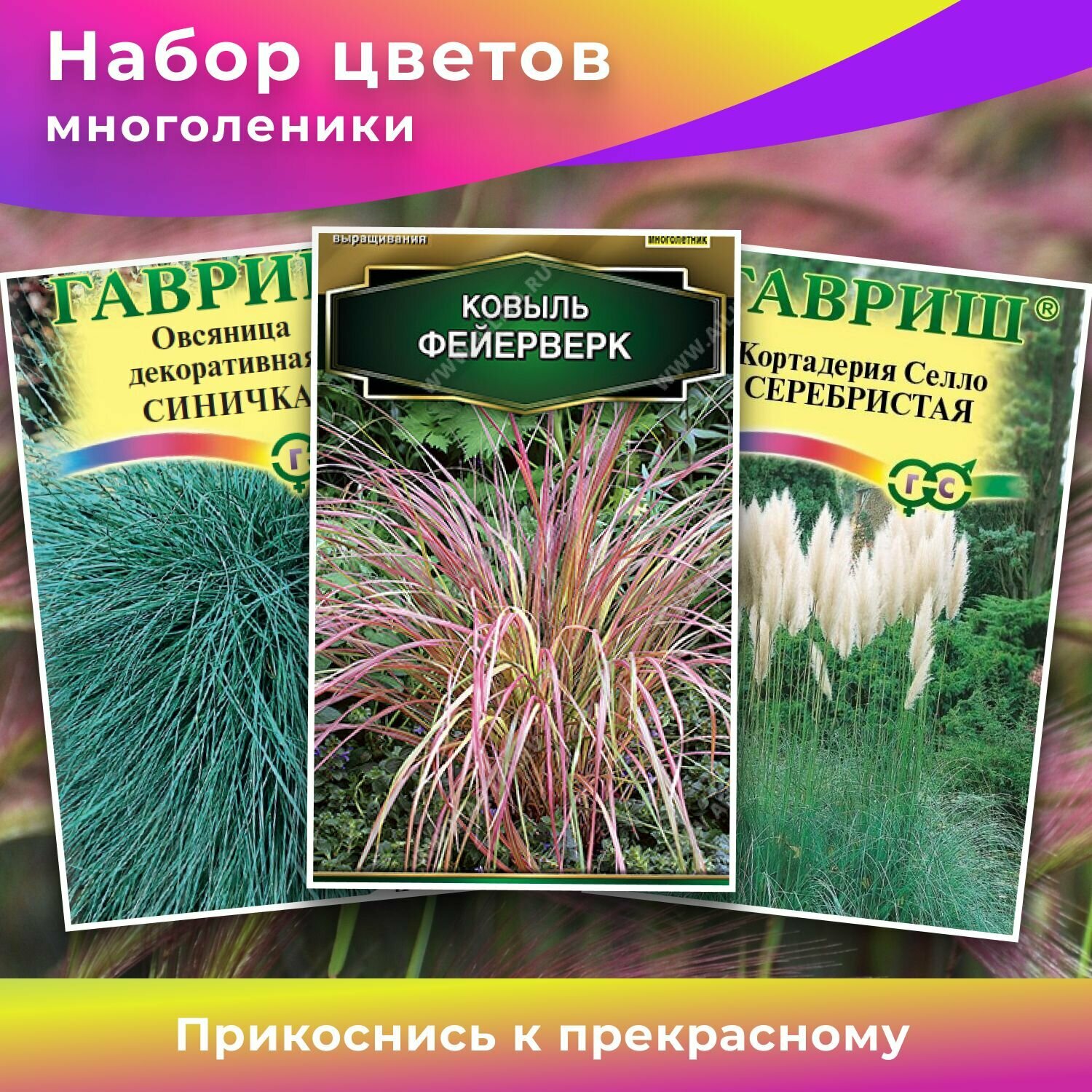 Набор семян кортадерия Селло серебристая (пампасная трава) ковыль Фейерверк овсяница декоративная синичка Набор №85