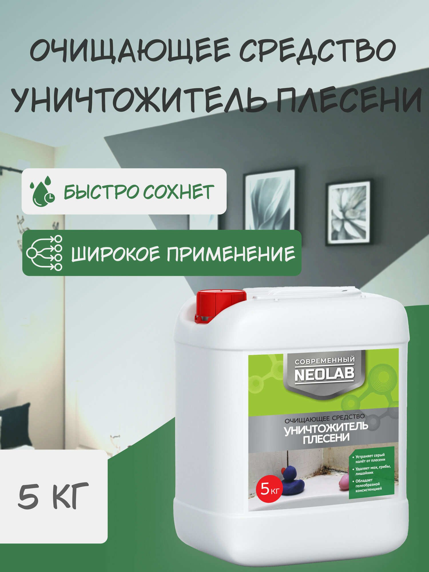 NEOLAB , Уничтожитель плесени , 5 кг