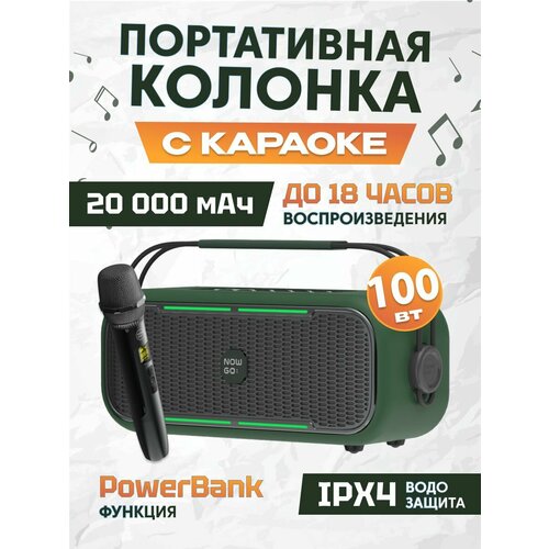 Портативная Bluetooth-колонка с Караоке микрофоном NowGo C1K Karaoke (C1K Karaoke) Global Green