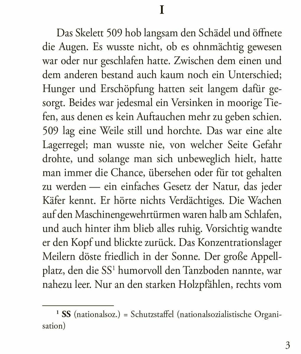 E. M. Remarque. Der funke liben. Искра жизни: книга для чтения на немецком языке - фото №5