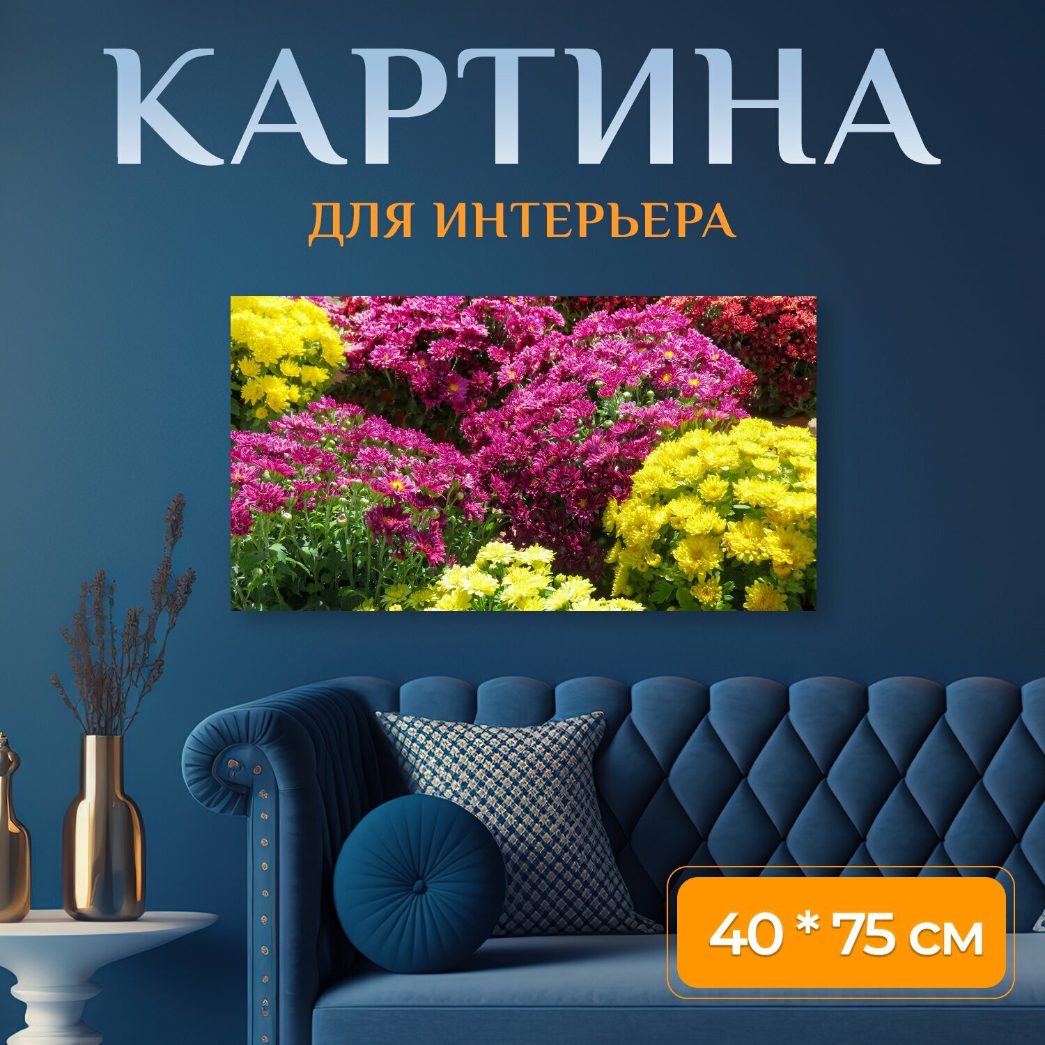 Картина на холсте "Хризантема, красочная природа, цветы" на подрамнике 75х40 см. для интерьера