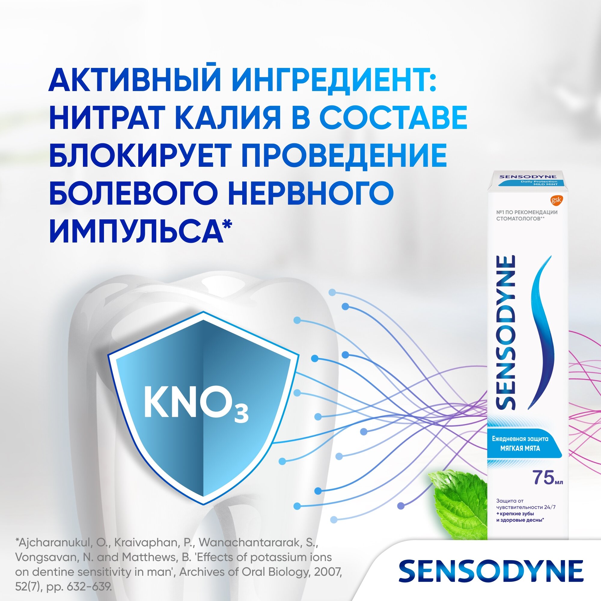 Зубная паста Sensodyne Ежедневная Защита Мягкая мята с фтором, для снижения чувствительности зубов и защиты от кариеса, 75 мл