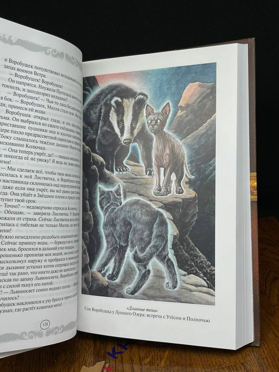 Книга Коты-воители. Длинные тени. Восход солнца - фото №7