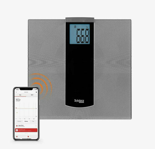 Весы электронные REDMOND SkyBalance 740S, серебристый — купить в ...