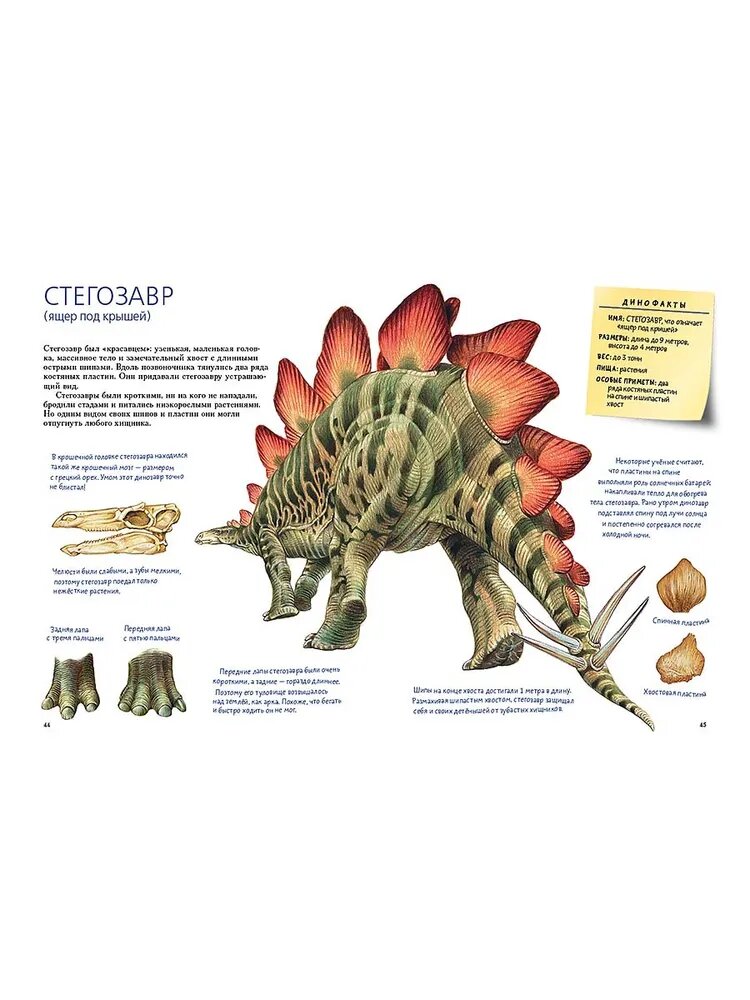 Такие разные динозавры: энциклопедия в картинках - фото №7