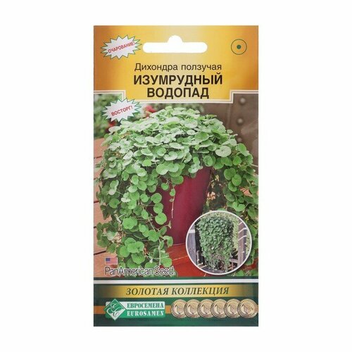Семена цветов Дихондра ползучая Изумрудный Водопад драже 3 шт 430₽