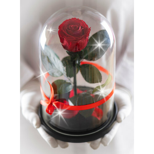 Роза в колбе живая, стабилизированная, TheRoseDome, подарочный набор для женщины, долговечный букет, вечный