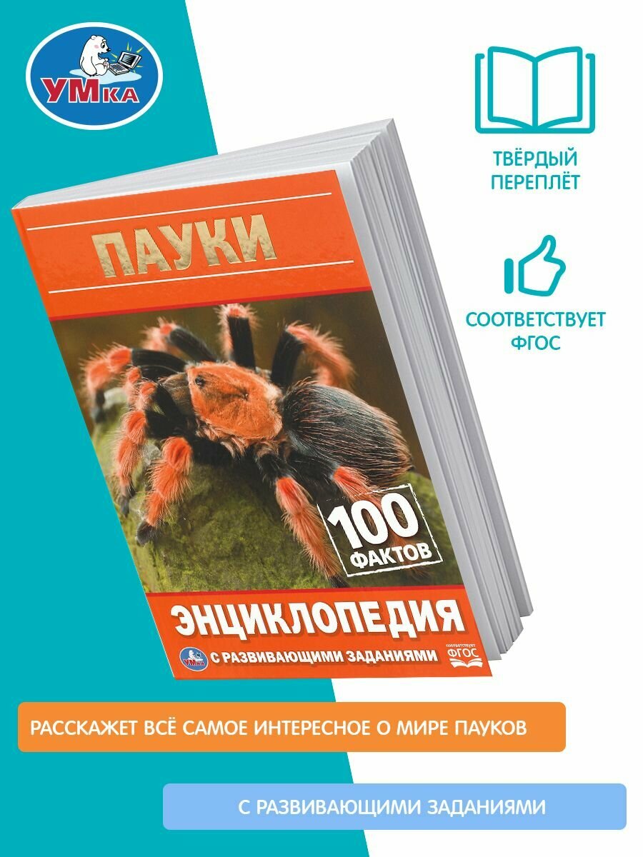 Пауки. 100 фактов. Энциклопедия А5.с развивающими заданиями. 48стр. Умка в кор.22шт - фото №11