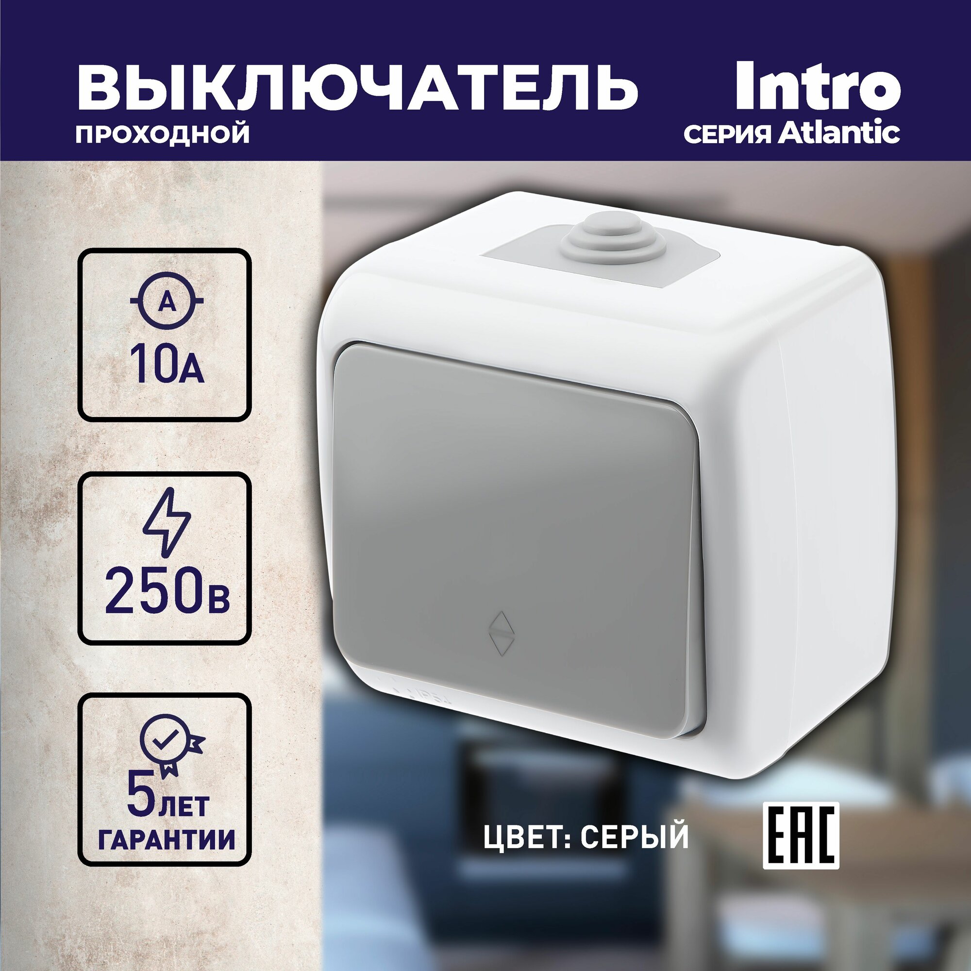 фото Переключатель Intro Atlantic 5-103-03 10А-250В, IP54, открытой установки, серый