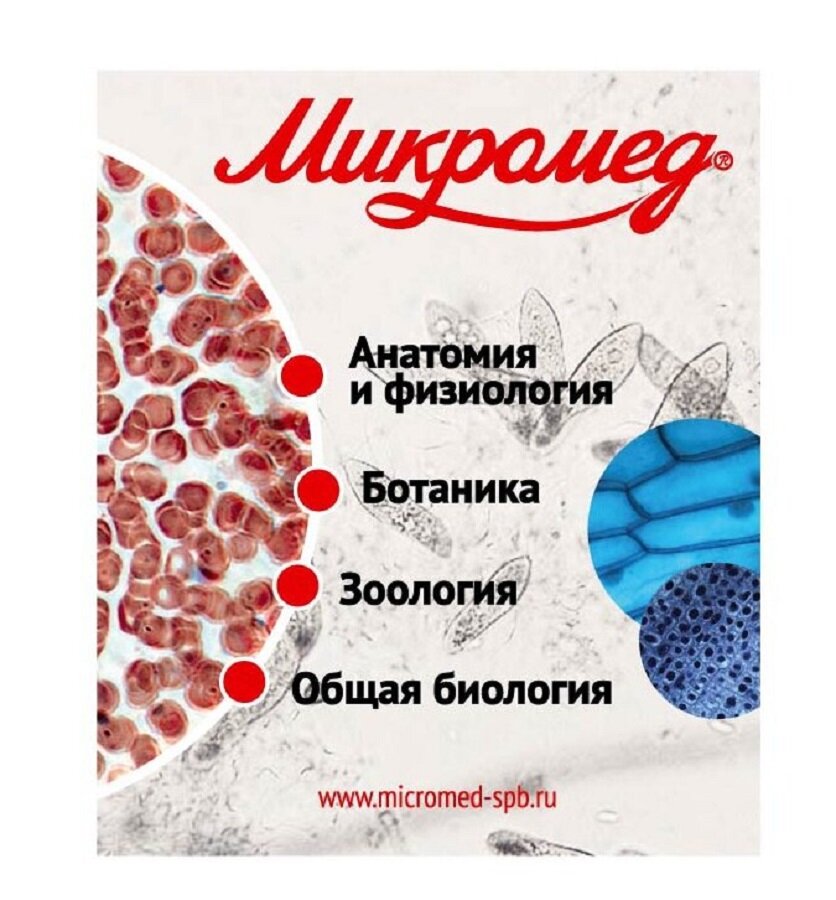 Набор готовых микропрепаратов Микромед №80 — фото 1