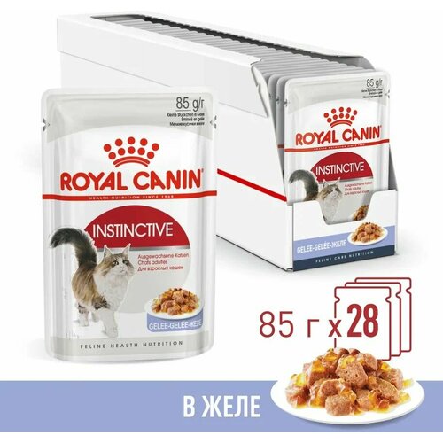 влажный корм для кошек royal canin instinctive в желе 85 г х 28 шт Влажный корм для кошек Royal Canin Instinctive, в желе, 85 г х 28 шт
