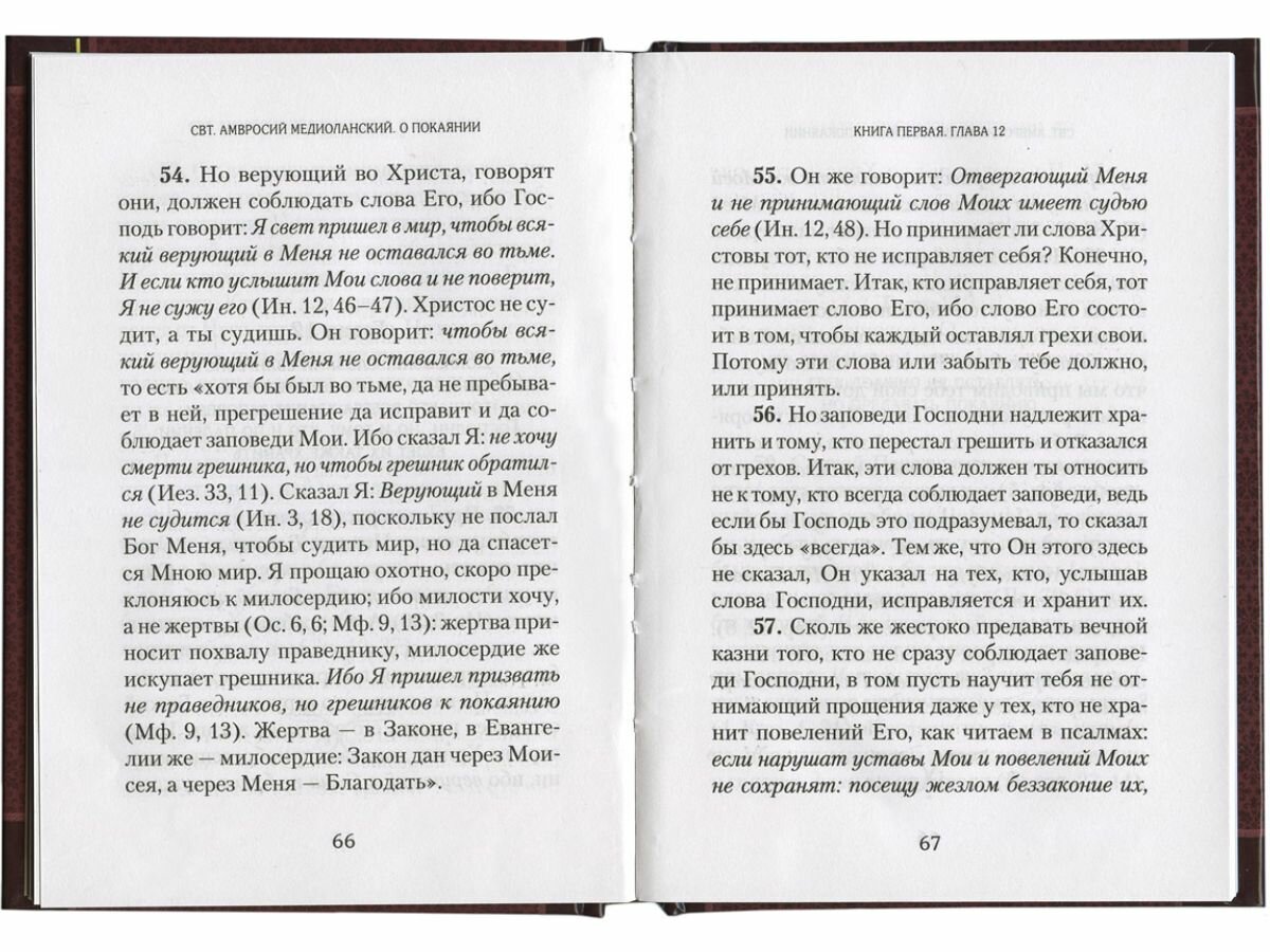 О покаянии (Амвросий Медиоланский) - фото №10