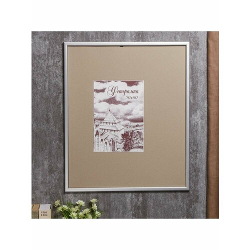 Фоторамка сосна с19 50 на 60 см (серебро