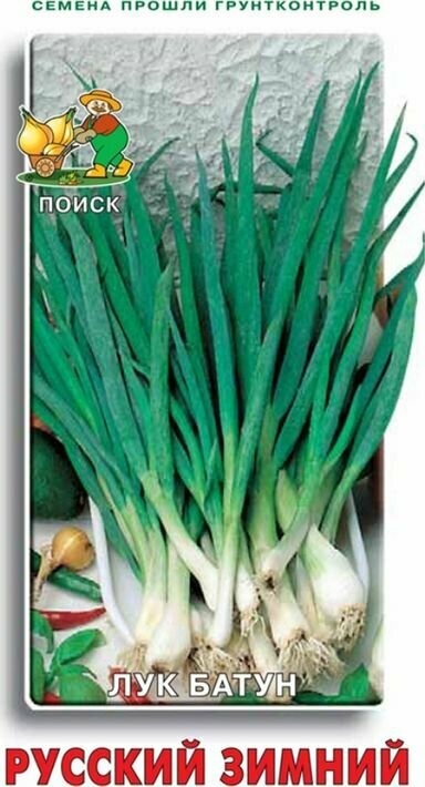 Семена Лук батун Русский зимний 1г (Поиск)