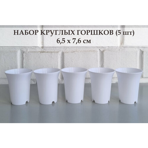 фото White garden круглые горшки для суккулентов 6,5х7,6 см. белые. набор из 5-ти штук