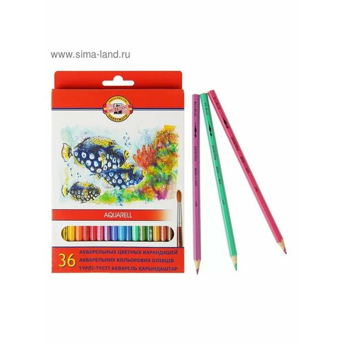 Карандаши акварельные 36 цветов 1824₽