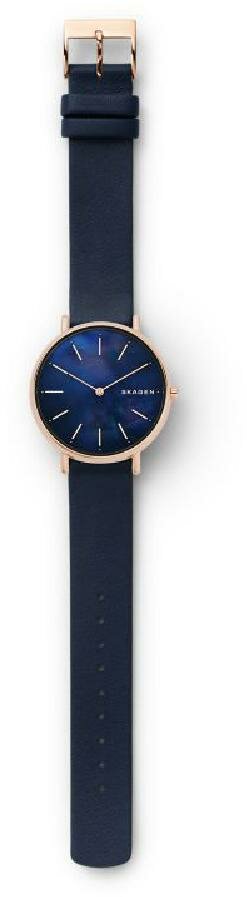 Наручные часы SKAGEN SKW2731