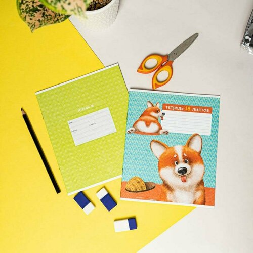 Тетрадь 18 л клеткалинейка в ассортименте 189₽