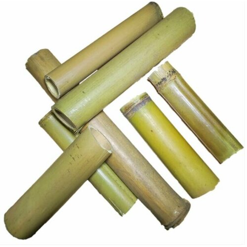 DECOTOP Bambusa Tube XXXS - Трубка из стебля бамбука, длина 10-15 см, 3-4 см