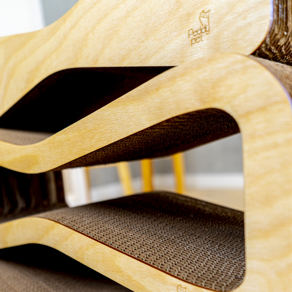 Когтеточка из картона — фото 1