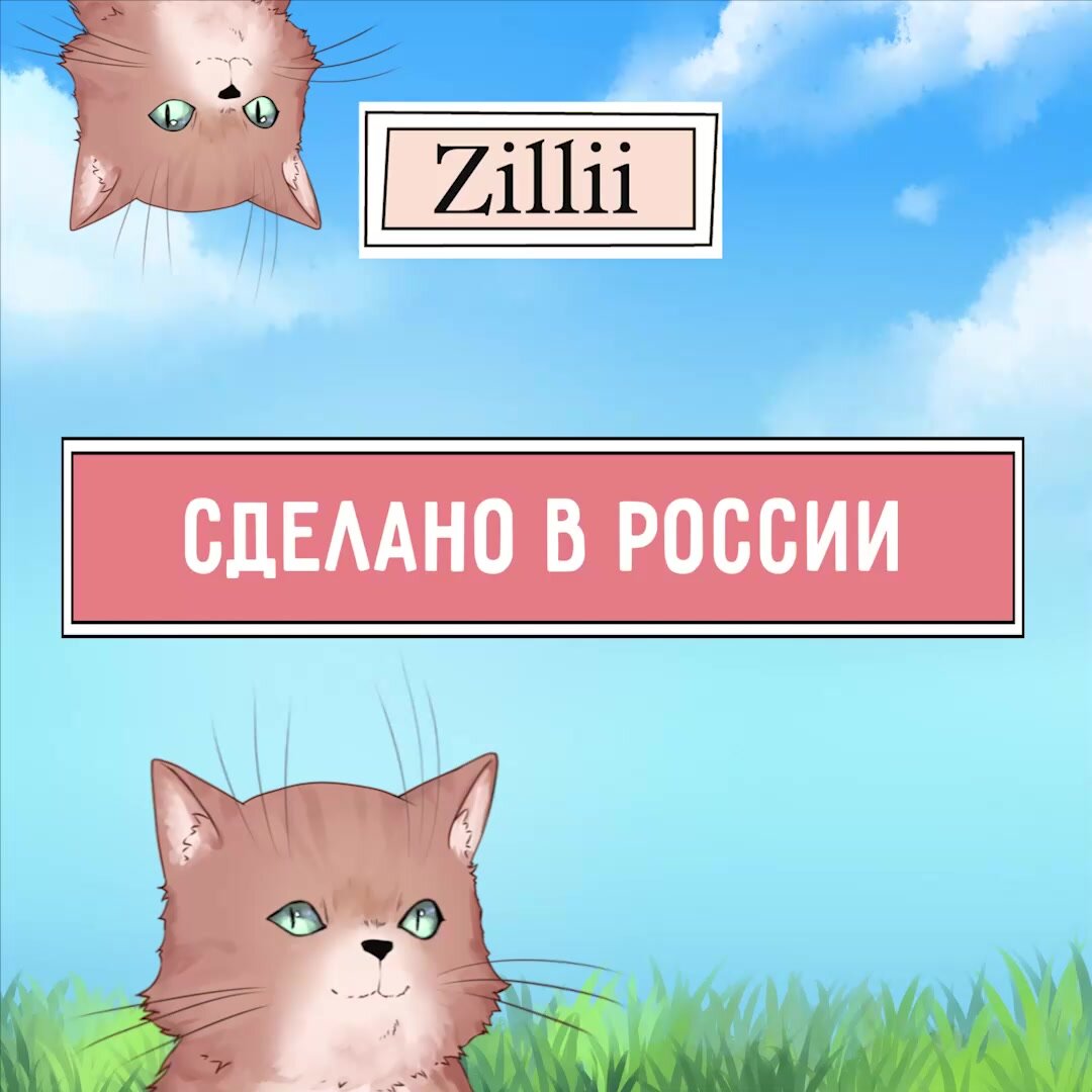 Сухой корм для стерилизованных кошек и кастрированных котов 2 кг, гипоаллергенный ZILLII (Зилли), Индейка с Ягнёнком — фото 1