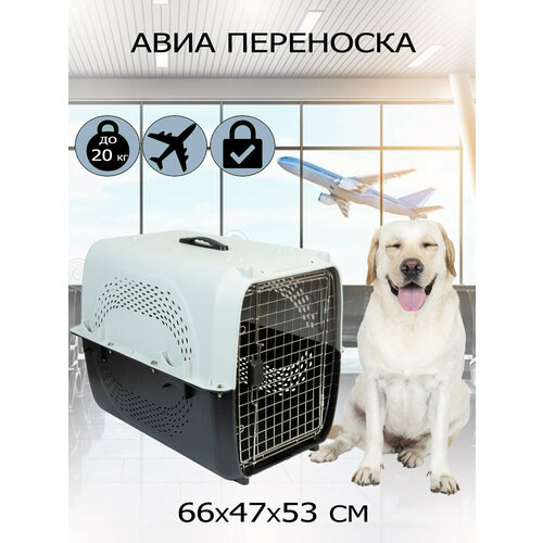 Переноска для животных "Чистый котик" 66*47*53